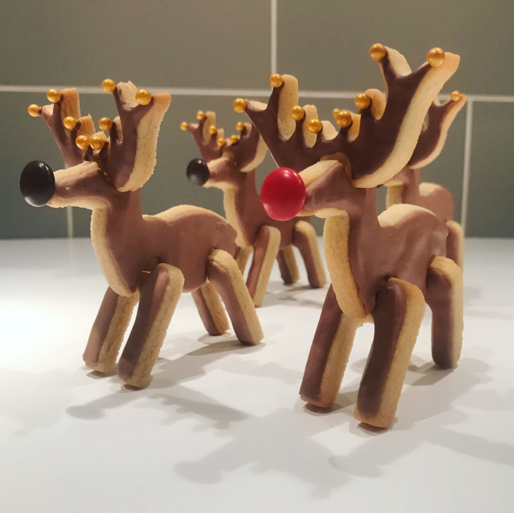 Reindeer iced 3D biscuit model